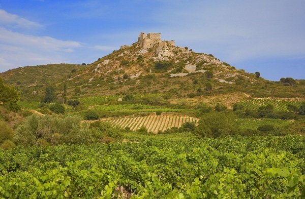 Le château d'Aguilar dans un paysage de vignoble du Languedoc