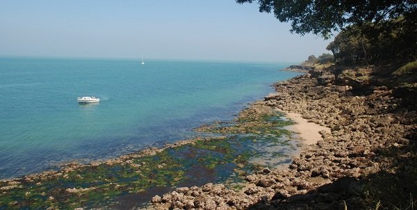 Une crique sur l'île d'Aix en Charente Maritime