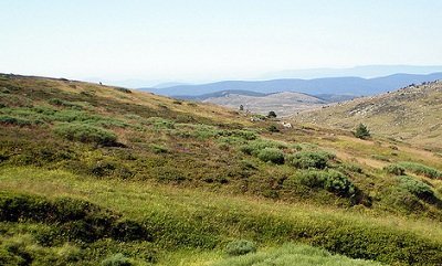 Paysage de Lozère