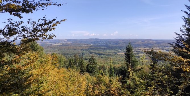 Vue panoramique sur la foret vosgienne 