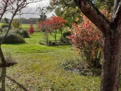 Photo n°3 du logement curiste LC-1267 à Fontaines-d'Ozillac