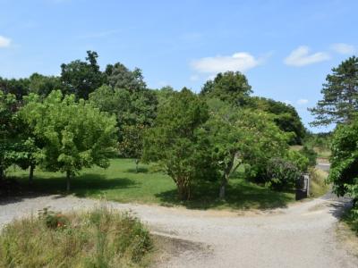 Photo n°16 du logement curiste LC-1379 à Barbotan-les-Thermes
