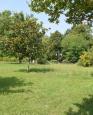 LC-1379 - petite photo n°11 de ce logement curiste