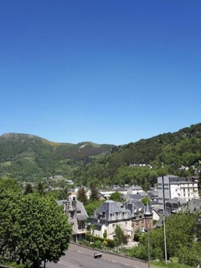 Mont-Dore - location curiste LC-1392 n°10