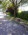 LC-1393 - petite photo n°13 de ce logement curiste