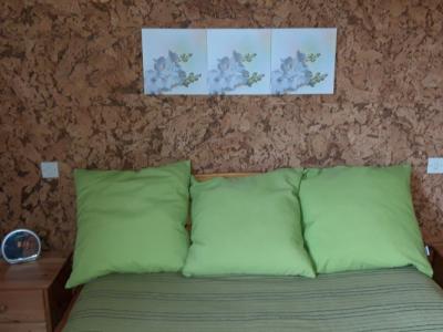 Logement pour curiste à Amélie-les-Bains photo 0 adv14081421
