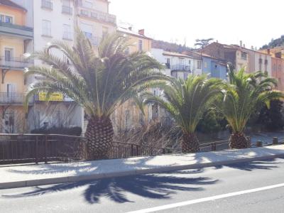 Logement pour curiste à Amélie-les-Bains photo 5 adv14081421