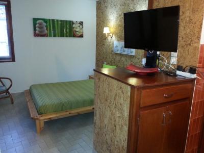 Logement pour curiste à Amélie-les-Bains photo 7 adv14081421