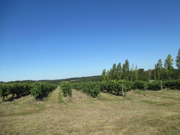 Jonzac - location curiste LC-1436 n°13