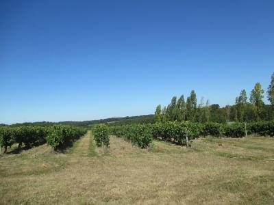 Photo n°13 du logement curiste LC-1436 à Jonzac