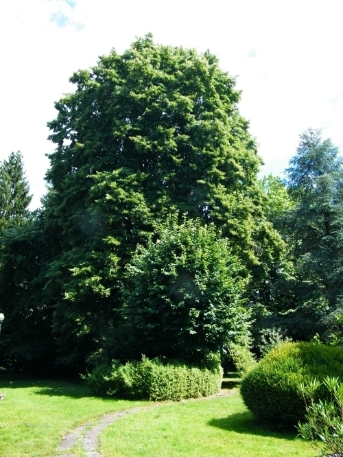 Luxeuil-les-Bains - location curiste LC-1650 n°9