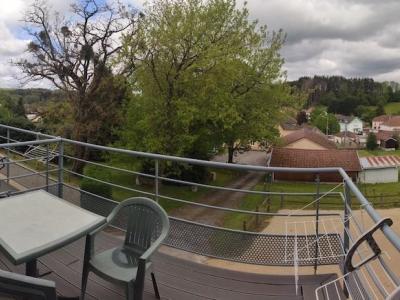 Photo PANO 43 - PROCHE DES THERMES DE BAINS-LES-BAINS, F1Bis