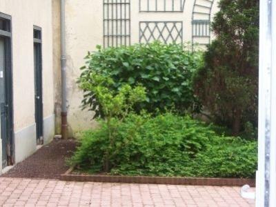Logement pour curiste à Vichy photo 6 adv30032153
