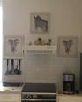 Présentation de l'appartement - petite photo