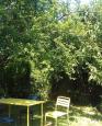 LC-2216 - petite photo n°17 de ce logement curiste