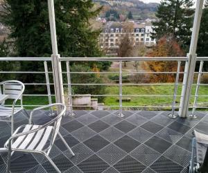 Photo F1 à 350 m des thermes de Bains-les-Bains avec terrasse - N°64 -