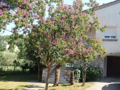 Logement pour curiste à Céret photo 0 adv18102493