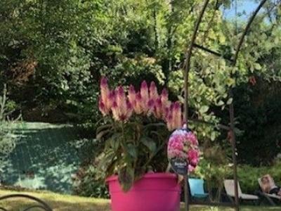 Photo n°13 du logement curiste LC-2544 à Aix-les-Bains