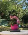 LC-2544 - petite photo n°13 de ce logement curiste