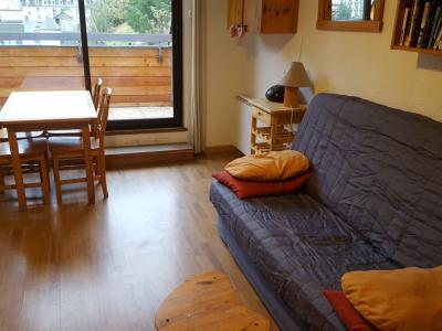 Photo Appartement chaleureux avec terrasse ensoleillée à 300 mètres des thermes du Mont Dore