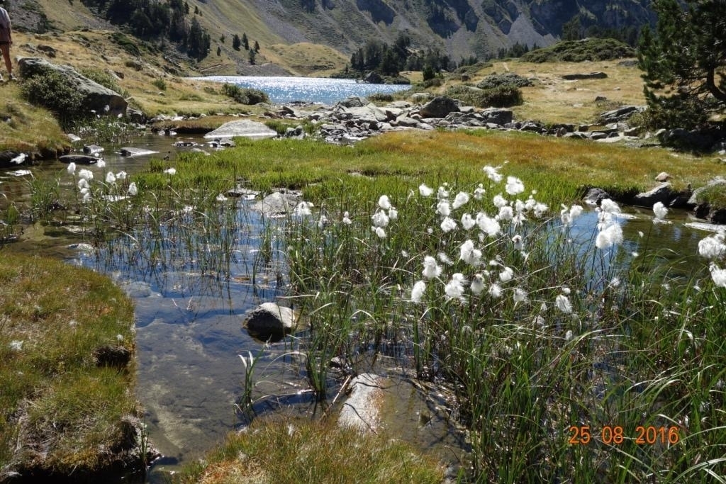 Saint-Lary-Soulan - location curiste LC-2674 n°10
