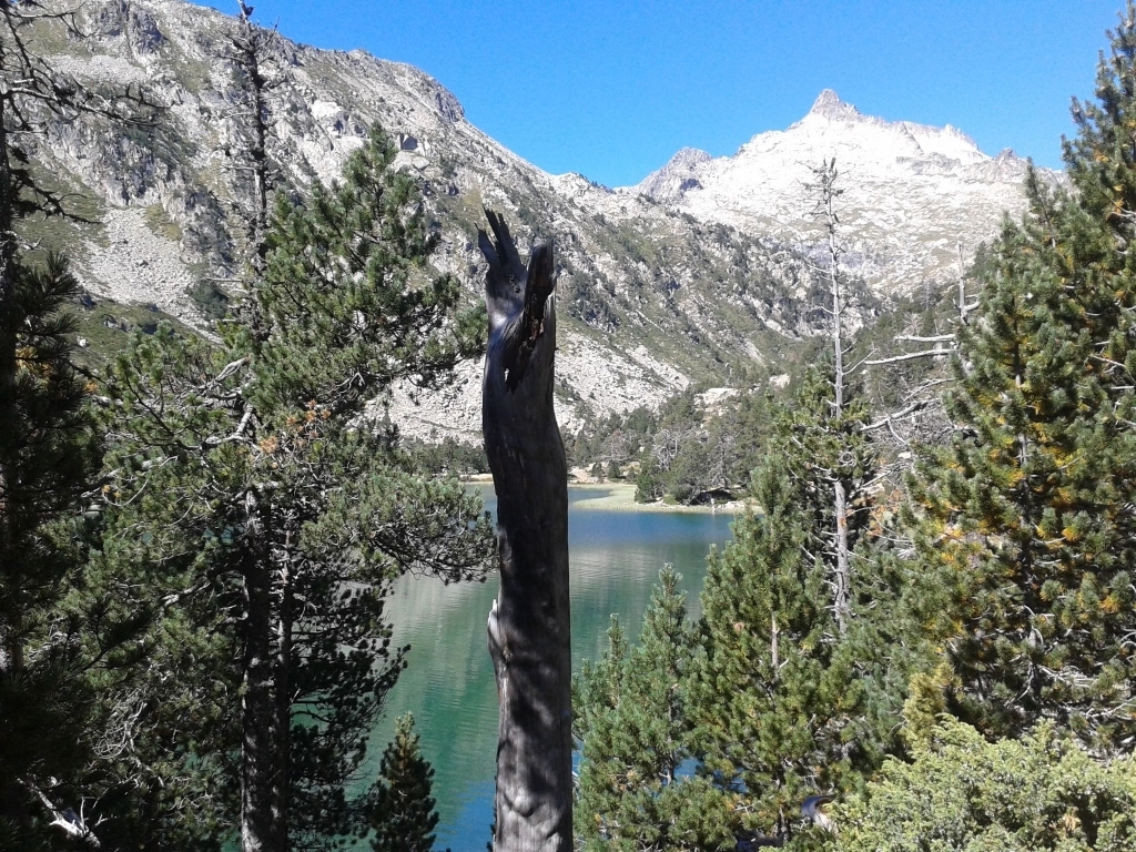 Saint-Lary-Soulan - location curiste LC-2674 n°12