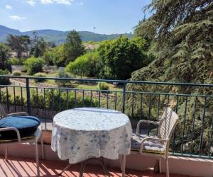 Photo Studio à 150 mètres des thermes de Gréoux avec 2 lits simples et balcon - climatisation