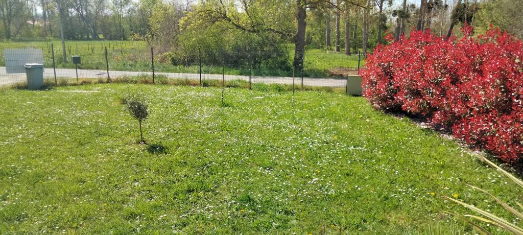 Saint-Germain-de-Lusignan - location curiste LC-2748 n°6
