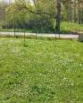 LC-2748 - petite photo n°6 de ce logement curiste