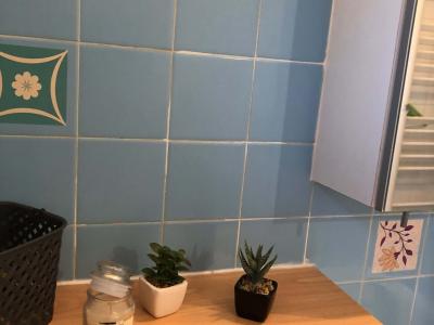 Logement pour curiste à Bains-les-Bains photo 8 adv18022776