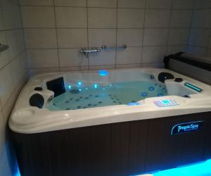 Photo APPARTEMENT AVEC JACUZZI HAMMAM SAUNA AU REZ DE CHAUSSEE DANS MAISON PROCHE AIX LES BAINS