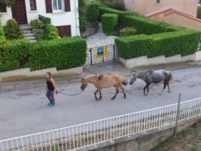 Photo n°12 du logement curiste LC-3076 à Vernet-les-Bains