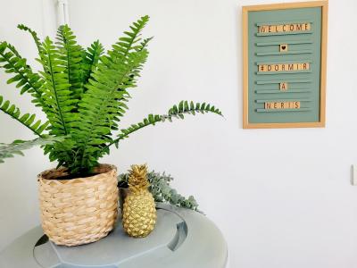 Photo n°7 du logement curiste LC-3156 à Néris-les-Bains
