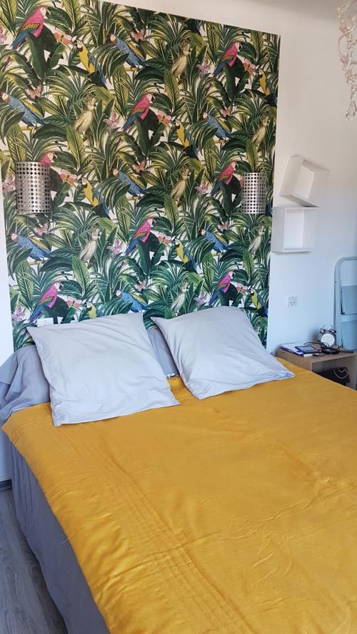 Amélie-les-Bains - location curiste LC-3240 n°11