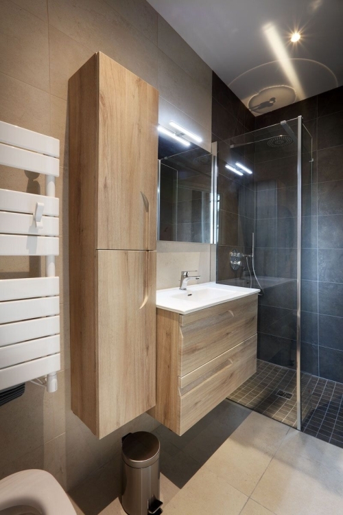 Aix-les-Bains - location curiste LC-3377 n°6