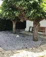 LC-3453 - petite photo n°3 de ce logement curiste