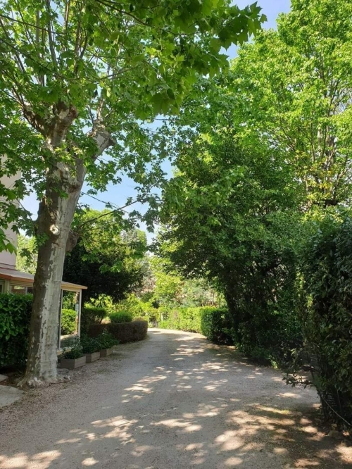 Lamalou-les-Bains - location curiste LC-3474 n°13