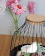 LC-3695 - petite photo n°5 de ce logement curiste