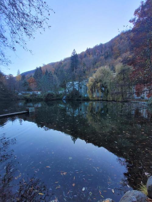 Bagnères-de-Luchon - location curiste LC-3795 n°5