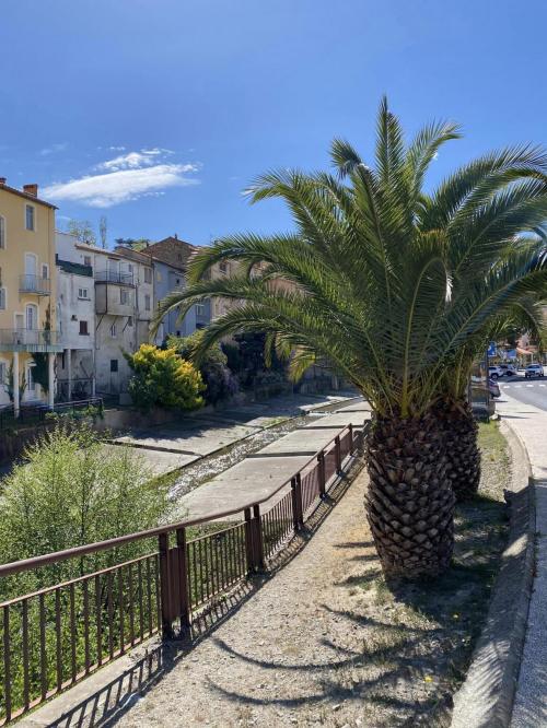 Amélie-les-Bains - location curiste LC-3815 n°13