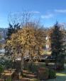 LC-3930 - petite photo n°8 de ce logement curiste