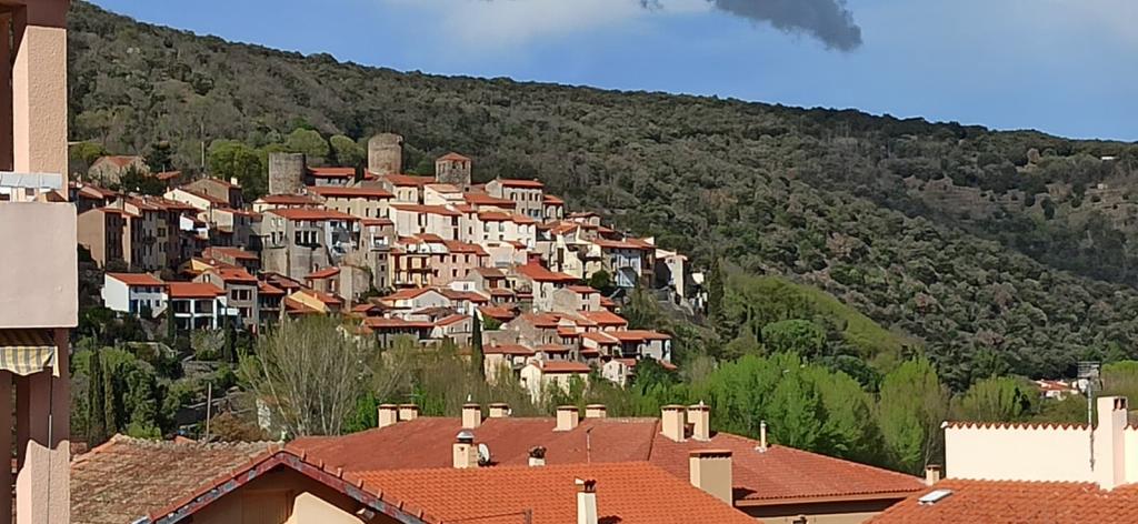 Amélie-les-Bains - location curiste LC-4012 n°9