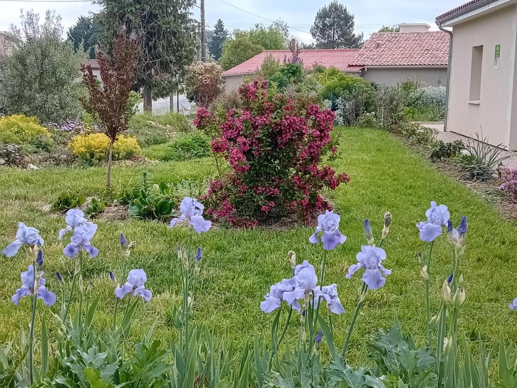 Baignes-Sainte-Radegonde - location curiste LC-4086 n°16