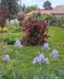 LC-4086 - petite photo n°16 de ce logement curiste