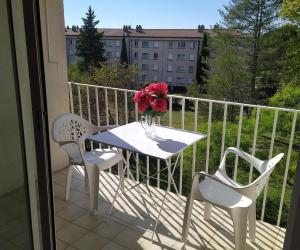 Photo Studio avec terrasse et parking à 650 mètres des thermes de Gréoux les Bains
