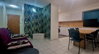 Vichy - location curiste LC-4127 n°4