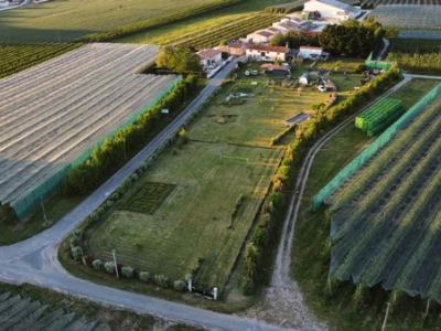 Photo n°2 du logement curiste LC-4133 à Meursac