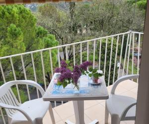 Photo Le Provence à Gréoux les Bains - Studio 309 