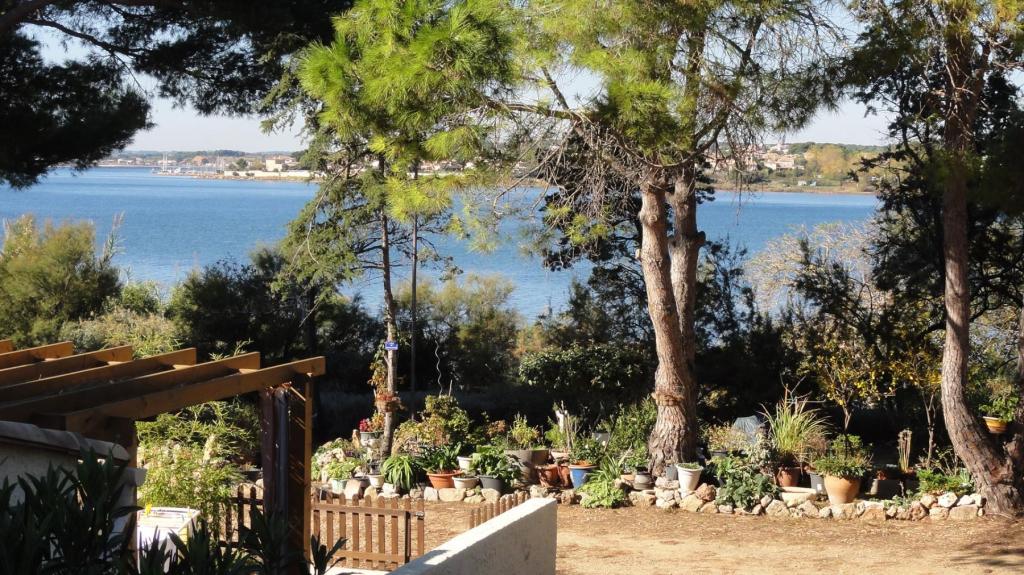 Balaruc-les-Bains - location curiste LC-4154 n°2