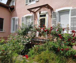 Photo location thermale Contrexéville pour 1 personne